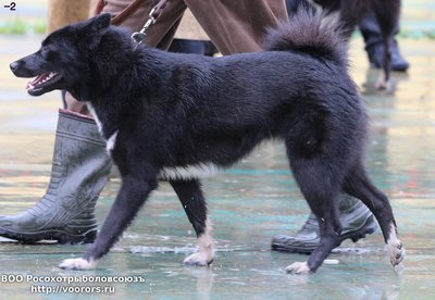 2 IMG_0495.JPG