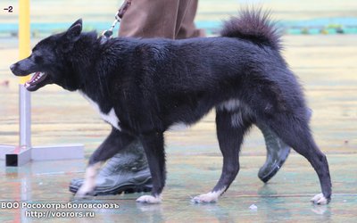 2 IMG_0485.JPG