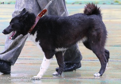 1 IMG_0486.JPG