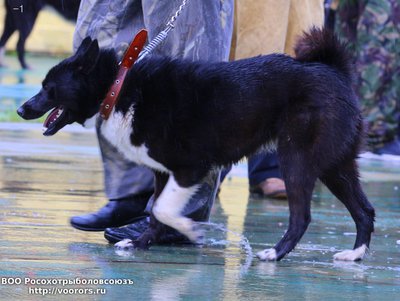 1 IMG_0473.JPG