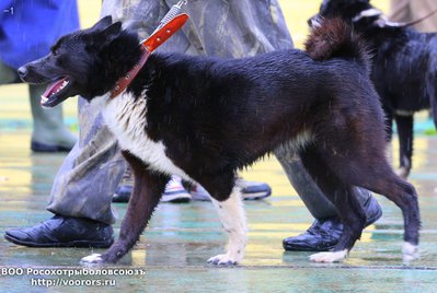 1 IMG_0463.JPG