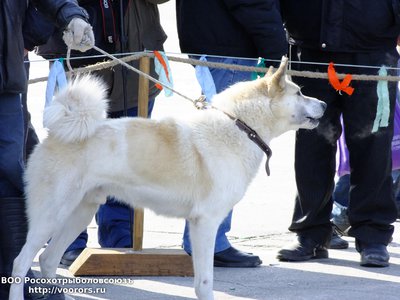 DSCF3353.JPG