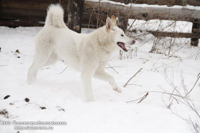 _MG_4644.JPG