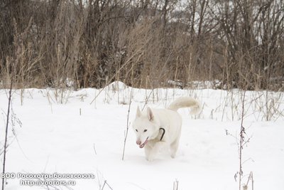 _MG_4656.JPG