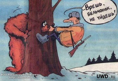 бельчонок.jpg