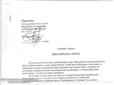 Стандарт ЭЛ.jpeg