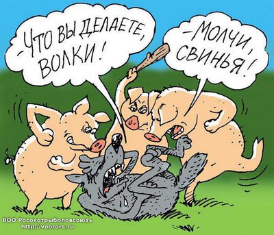 волки.jpg