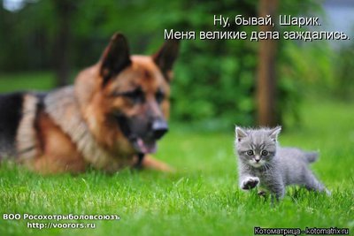 привет.jpg