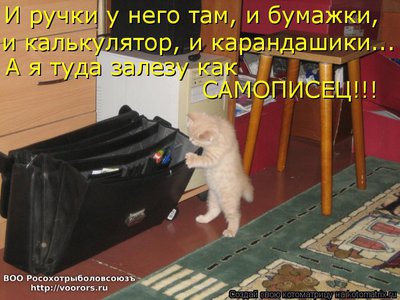сам.jpg