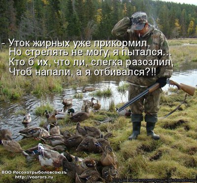 ут.jpg