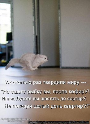 кв.jpg