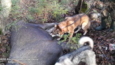 20131102_102005.jpg