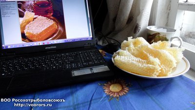 009.JPG