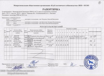 Рапортичка4.jpg