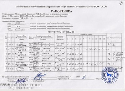 Рапортичка1.jpg