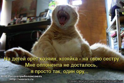 ор1.jpg