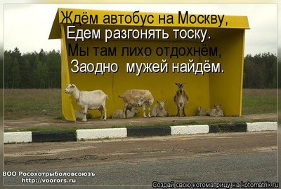 муж.jpg