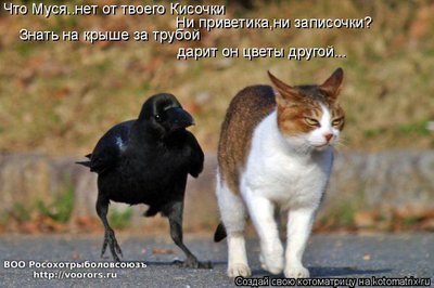 тр.jpg