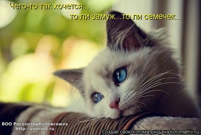 сем.jpg