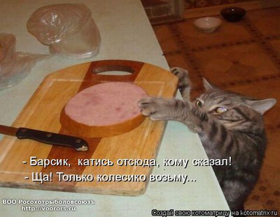 барс.jpg