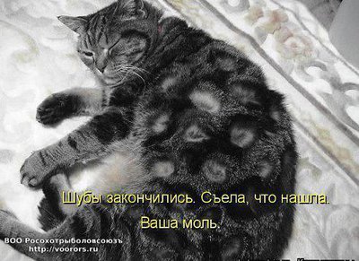 getImage (11).jpg