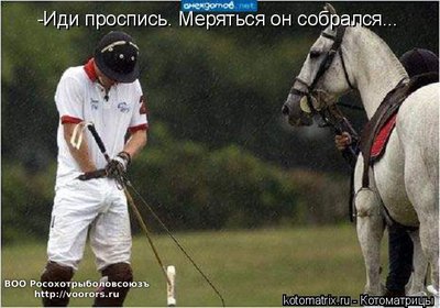мер.jpg