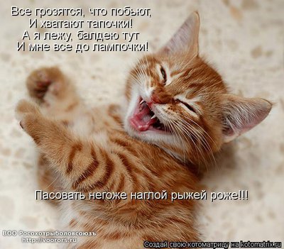 наг.jpg
