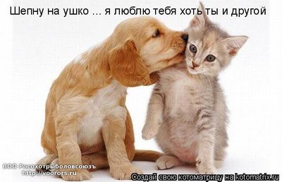 др.jpg