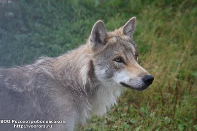 IMG_1597.JPG