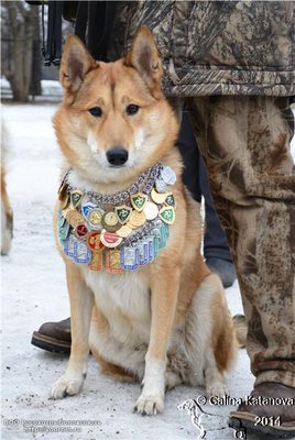 сноу.jpg