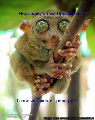 троль.jpg