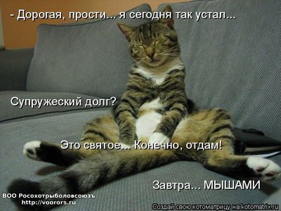 долг.jpg