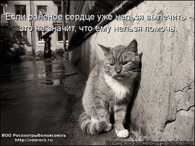 вылечим.jpg