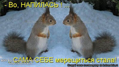 бел.jpg