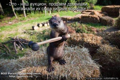 др.jpg