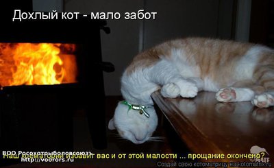 крем.jpg