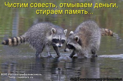 день.jpg