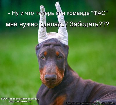 фас.jpg