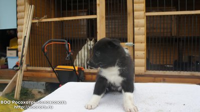 DSC09239.JPG