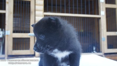 DSC09269.JPG