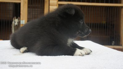DSC09287.JPG