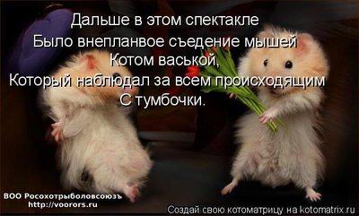съем.jpg