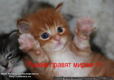 рыж.jpg