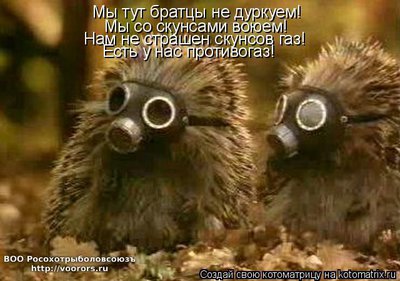 ск.jpg