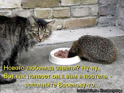 вас.jpg
