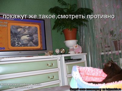 прот.jpg
