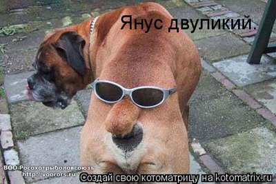 ян.jpg