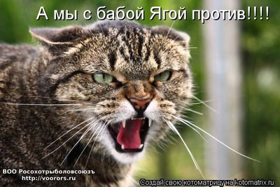 баб.jpg
