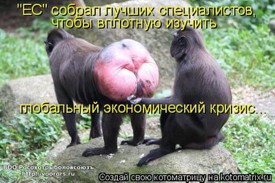 криз.jpg