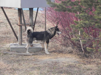 DSCN0924.JPG